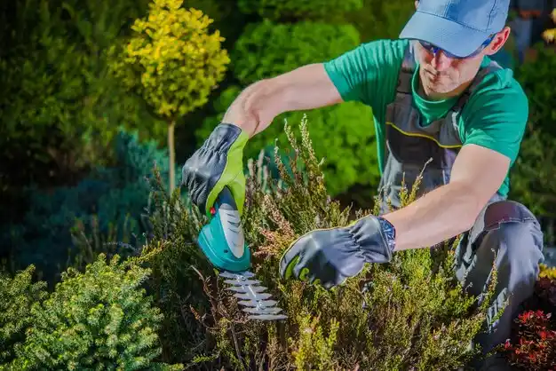 landscaping services Duenweg